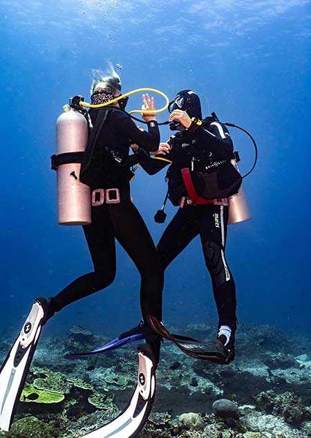 Dive Concepts Pemuteran Dive Center Menjangan Diving